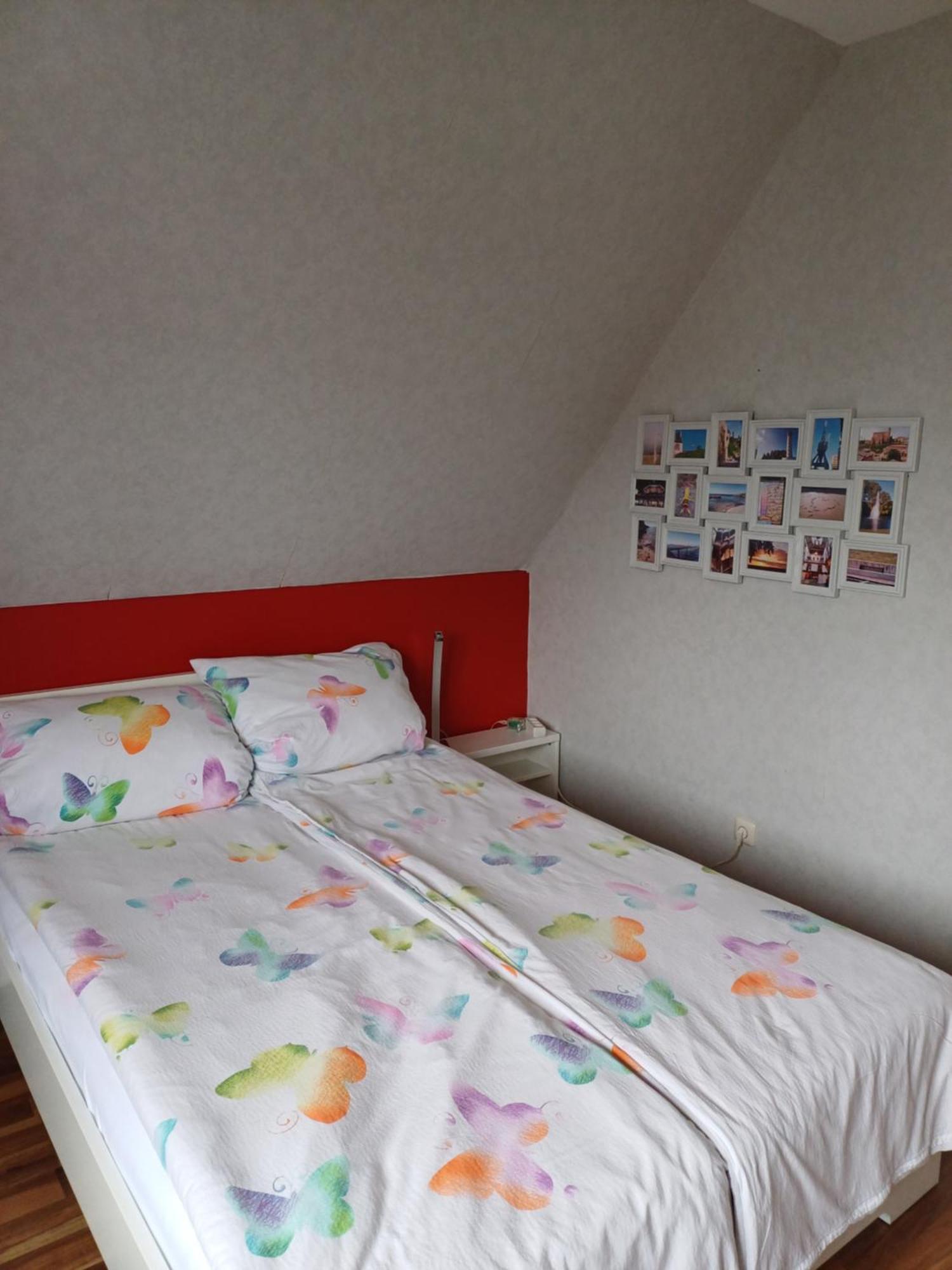 B&B Koeln Zuendorf المظهر الخارجي الصورة